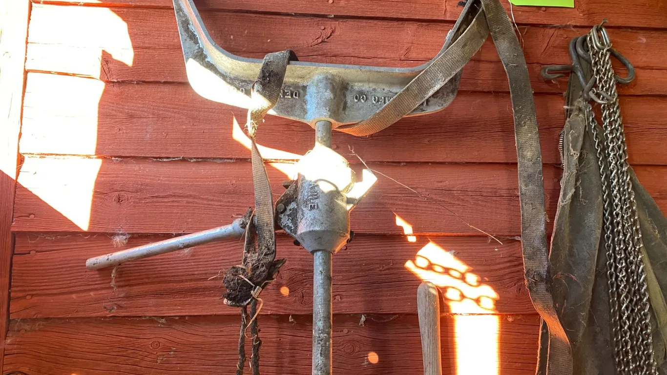 Calf puller, leads, paddle, cane etc.