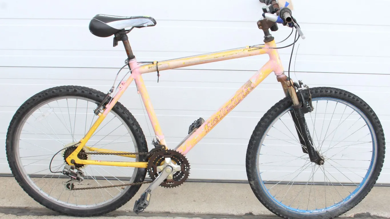 RALEIGH GATOR BICYCLE