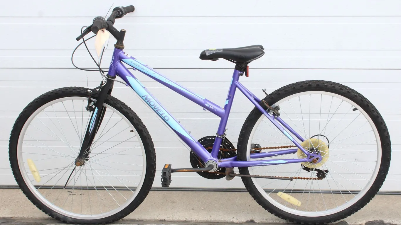 PURPLE/TEAL MOVELO ALGONQUIN