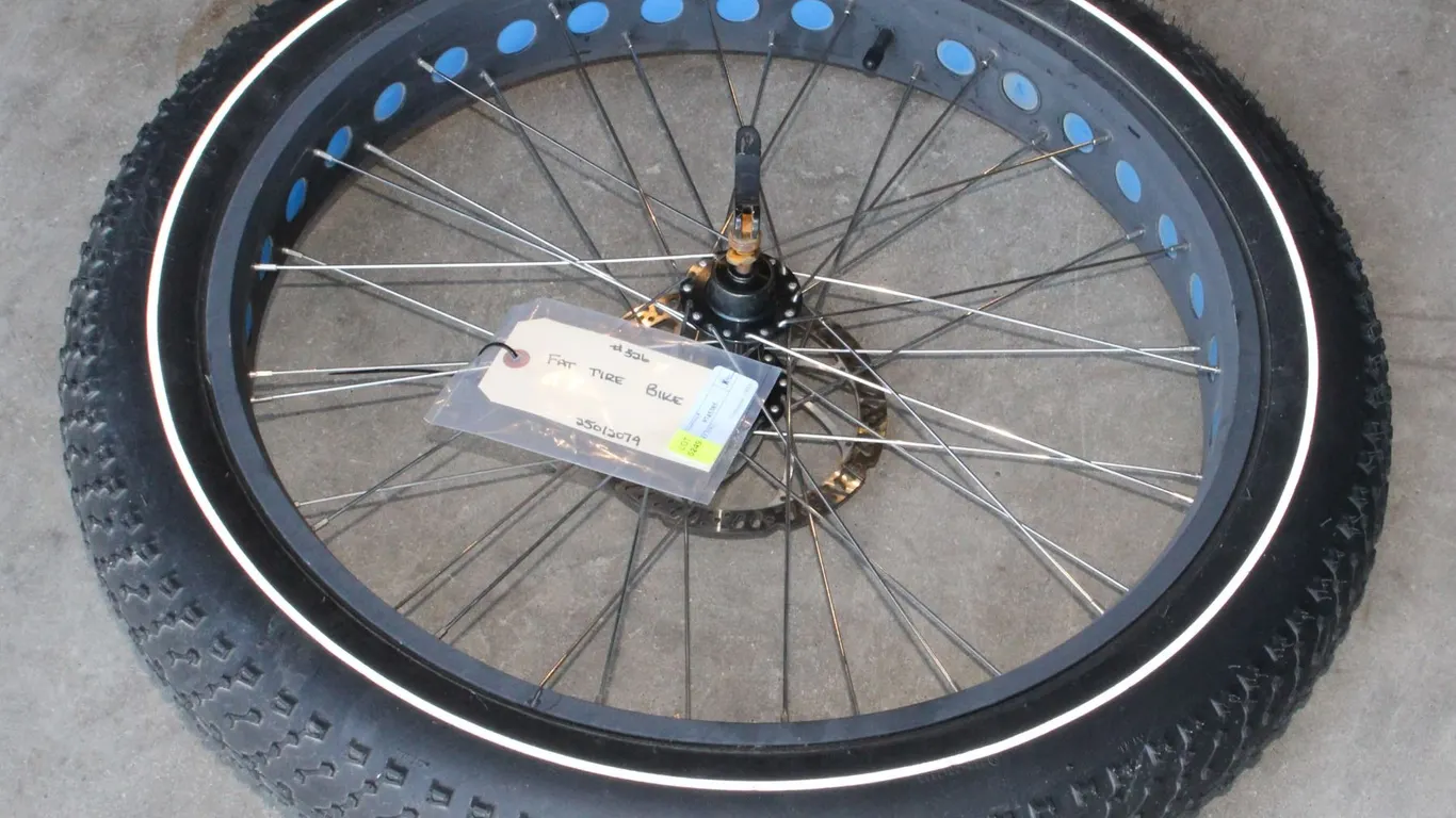 FAT TIRE BIKE