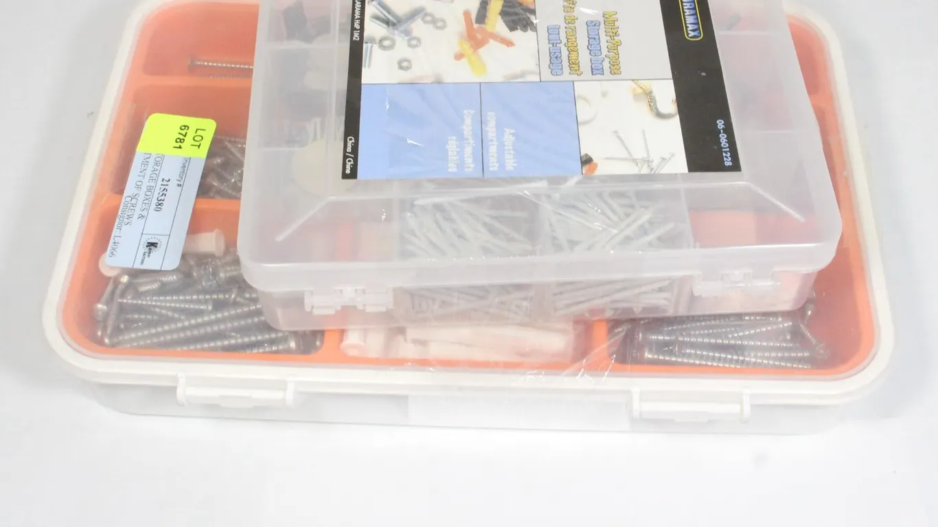 TWO STORAGE BOXES & ASSORTMENT OF SCREWS