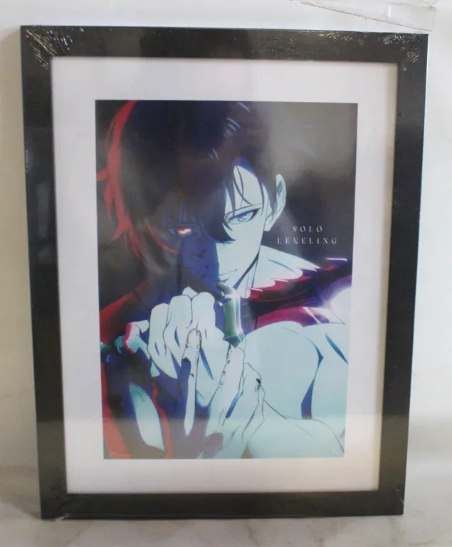 12" X 16" SOLO LEVELING ANIME FRAMED