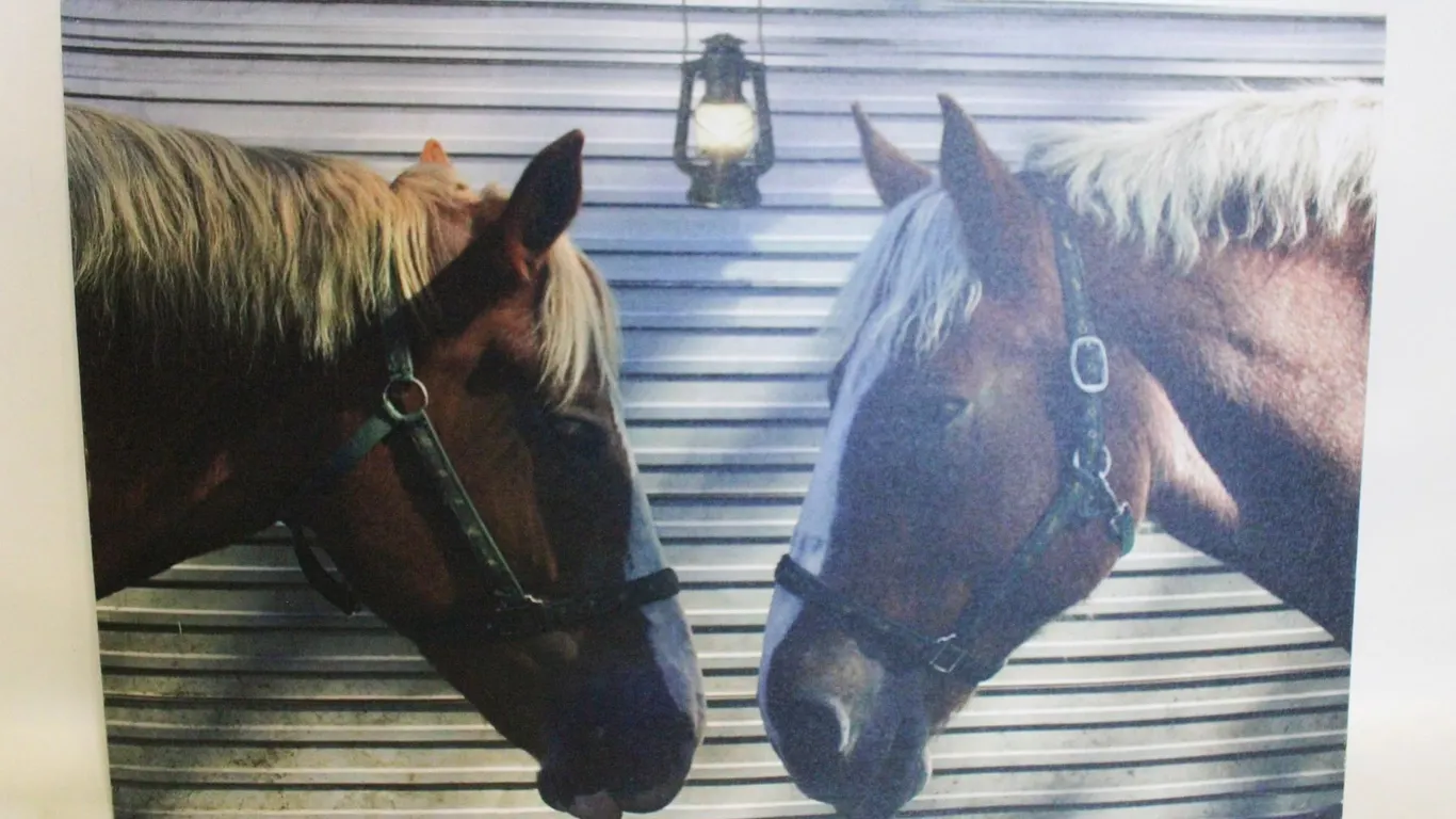 HORSES CANVAS PICTURE, 24" X 16"