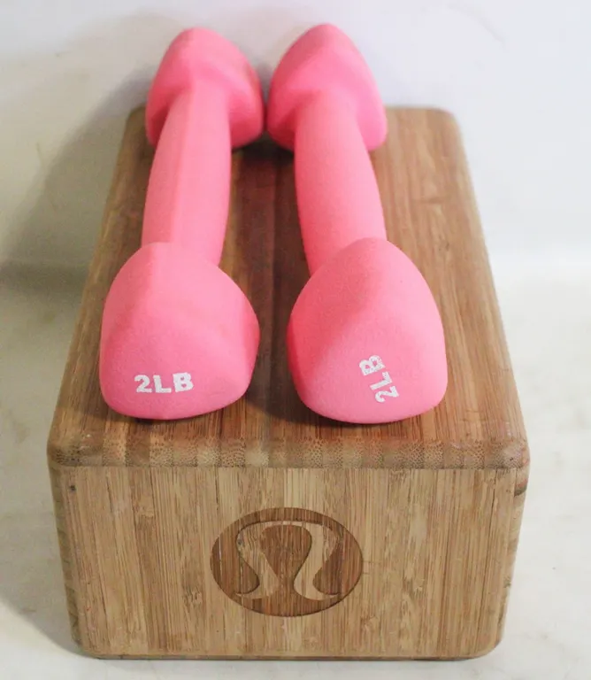 VINTAGE LULU LEMON YOGA BLOCK WITH PAIR