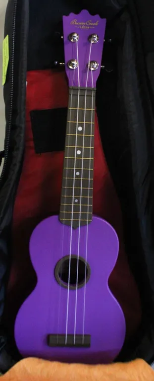 PURPLE UKULELE IN SOFTSHELL CASE