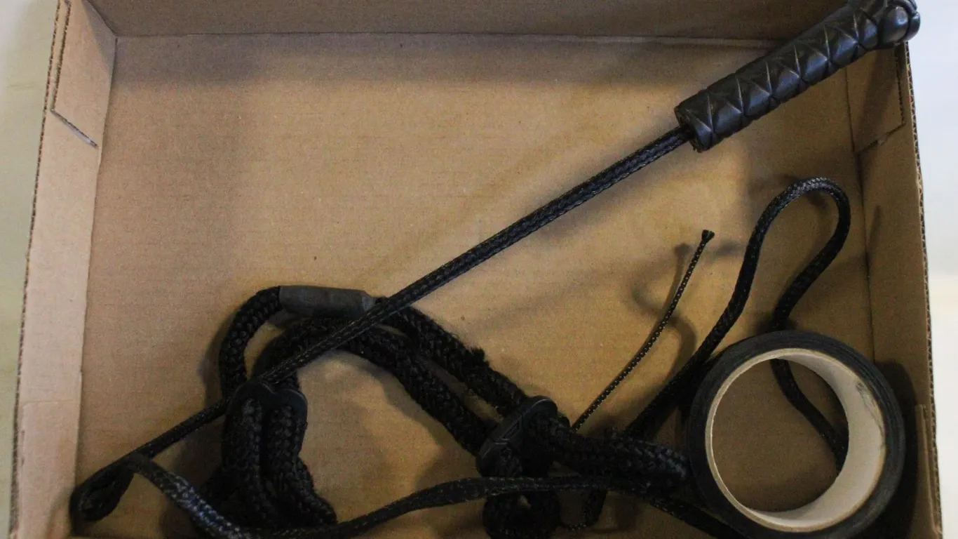 ADULT FLOGGER/WHIP WITH RESTRAINT