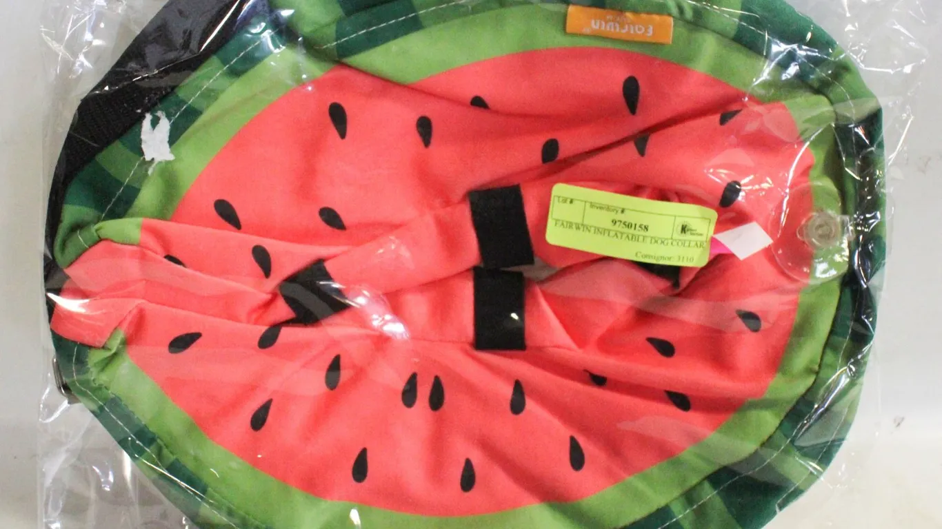 FAIRWIN INFLATABLE DOG COLLAR