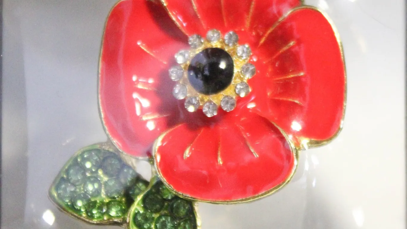 NEW POPPY BROOCH ENAMEL & RHINESTONES