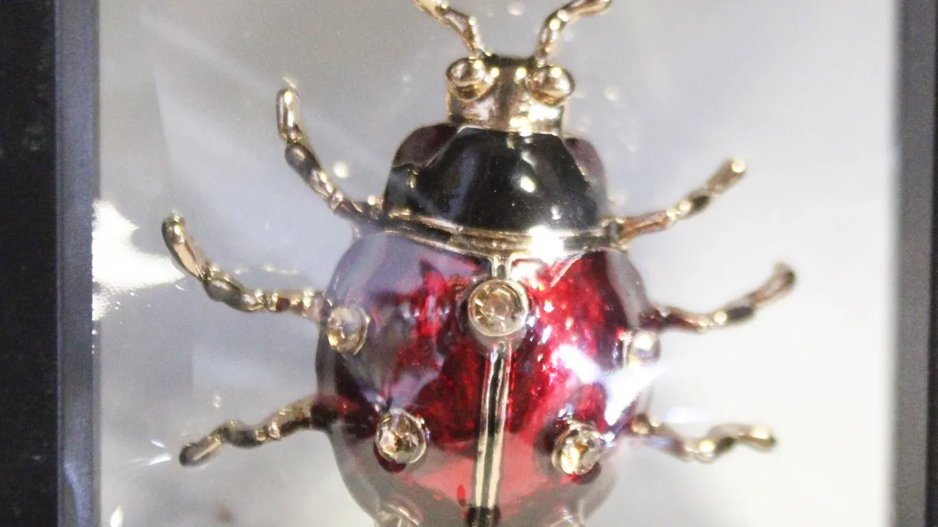 NEW LARGE LADYBUG BROOCH AMBER