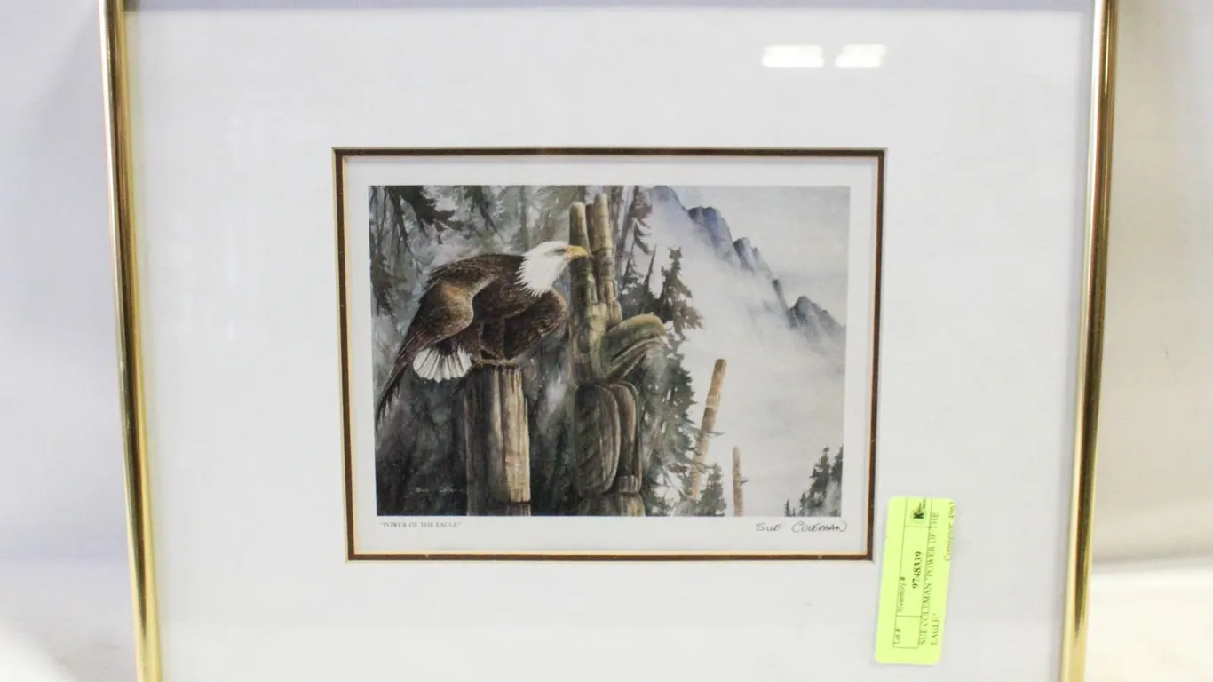SUE COLEMAN "POWER OF THE EAGLE"