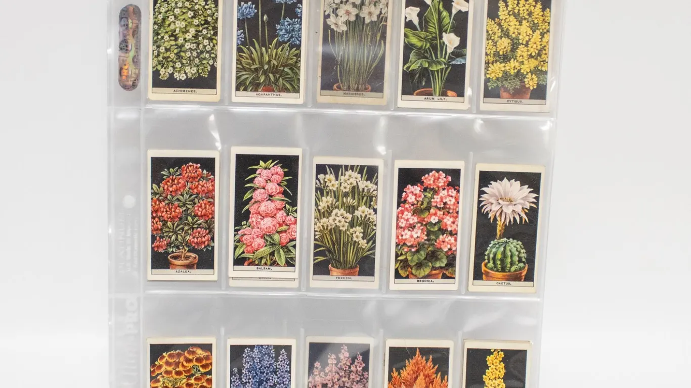 PARTIAL SET 1900S FLOWER CARDS