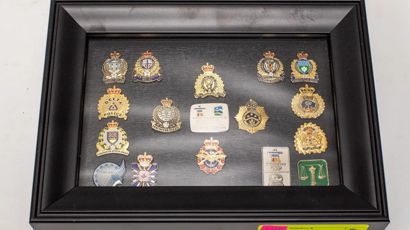 ESTATE POLICE/SERVICE ASSORTED COLLECTOR LAPEL