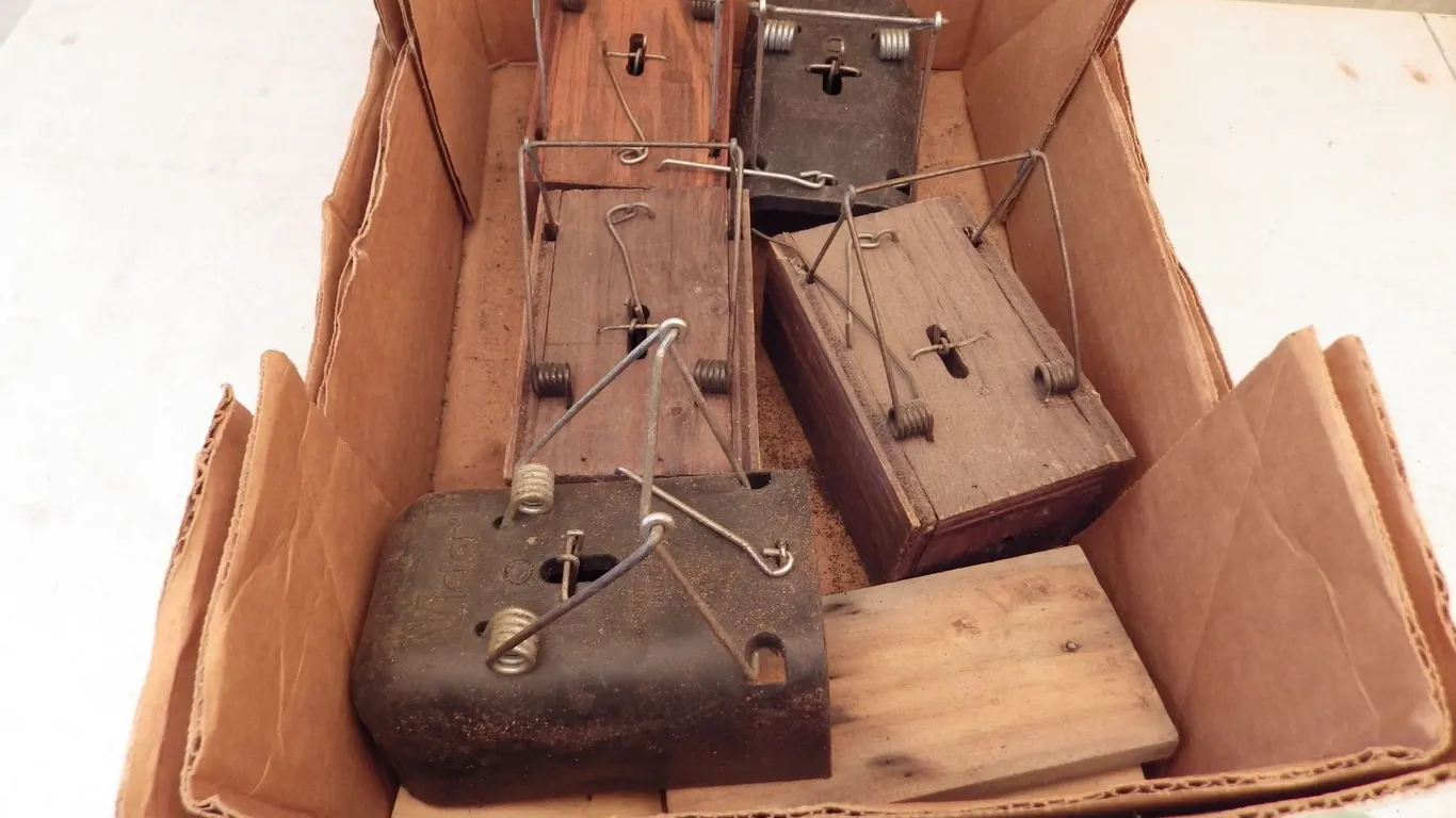 lot of sturdy Plastic and wood mole traps