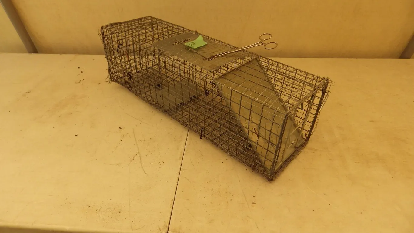 live animal trap 24 inches long