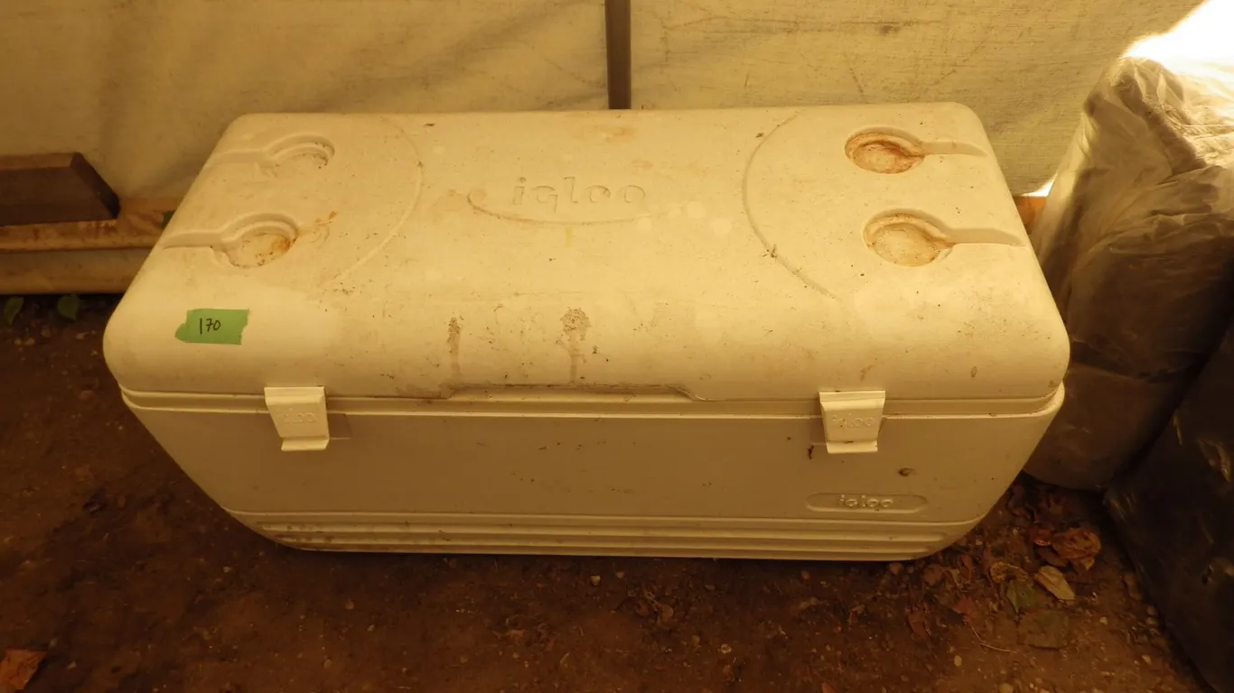 igloo cooler and portable collapsible cooler