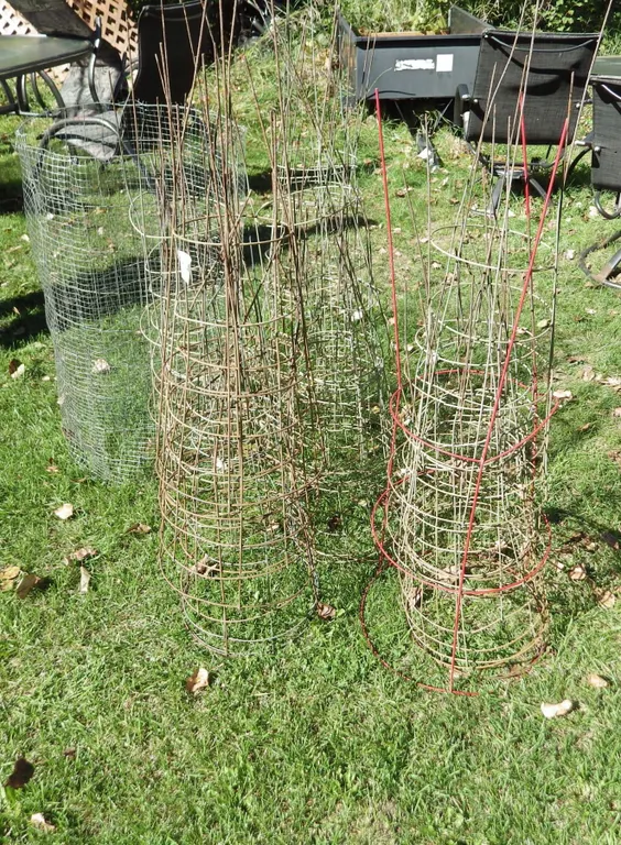 tomato cages