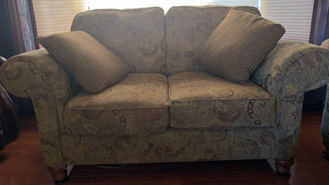 Patterned Upholstered Loveseat with Rolled Arms and Cushions, 63" x 33"