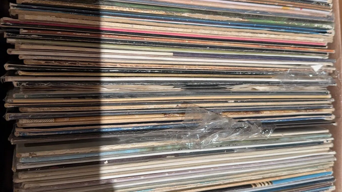 Vinyl Records Including Carpenters, Santana, Sly & More