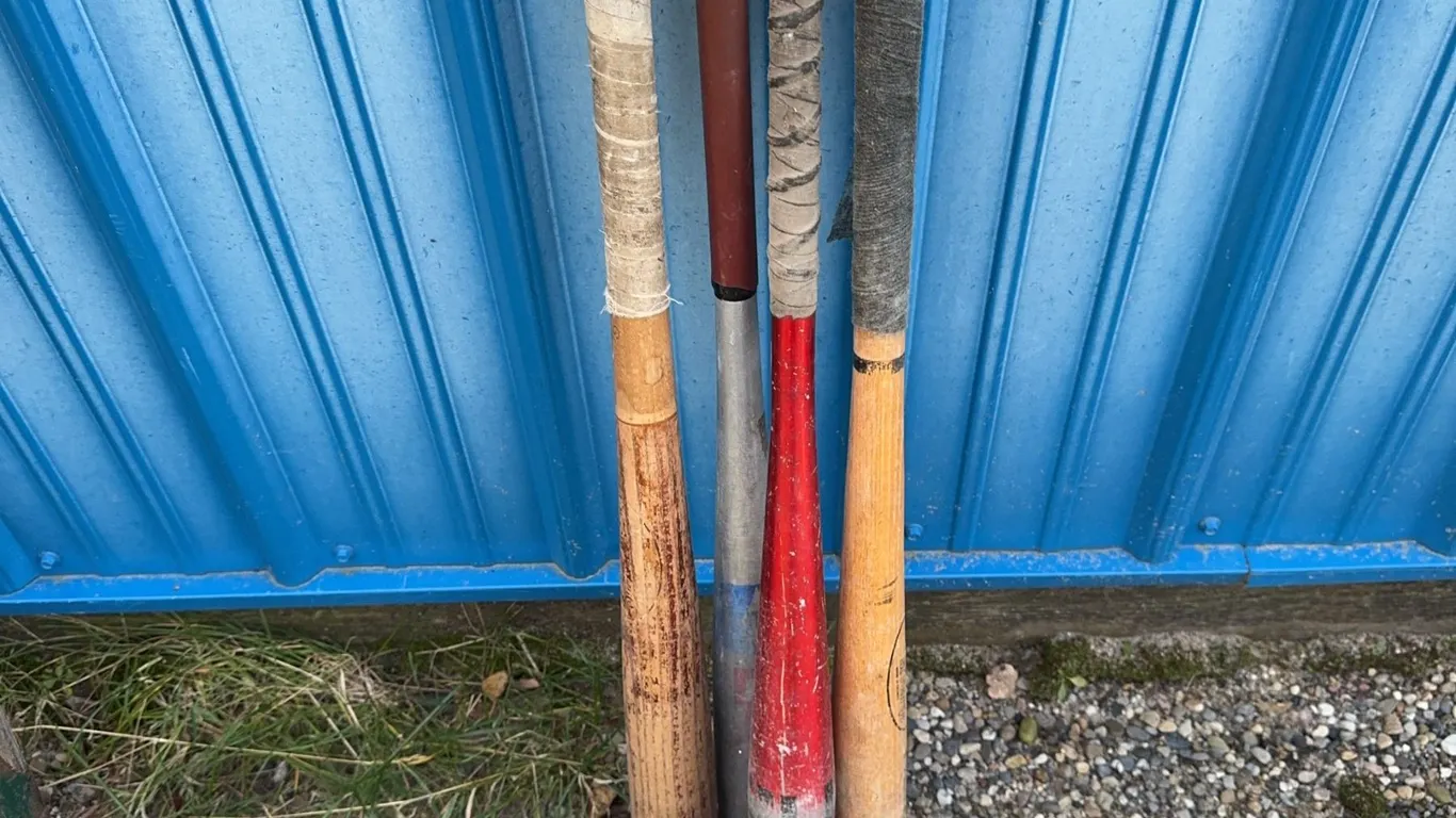 Baseball Bats and Mixed Sports Balls Lot