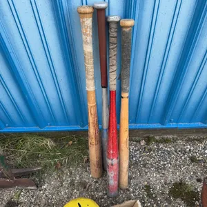 Baseball Bats and Mixed Sports Balls Lot