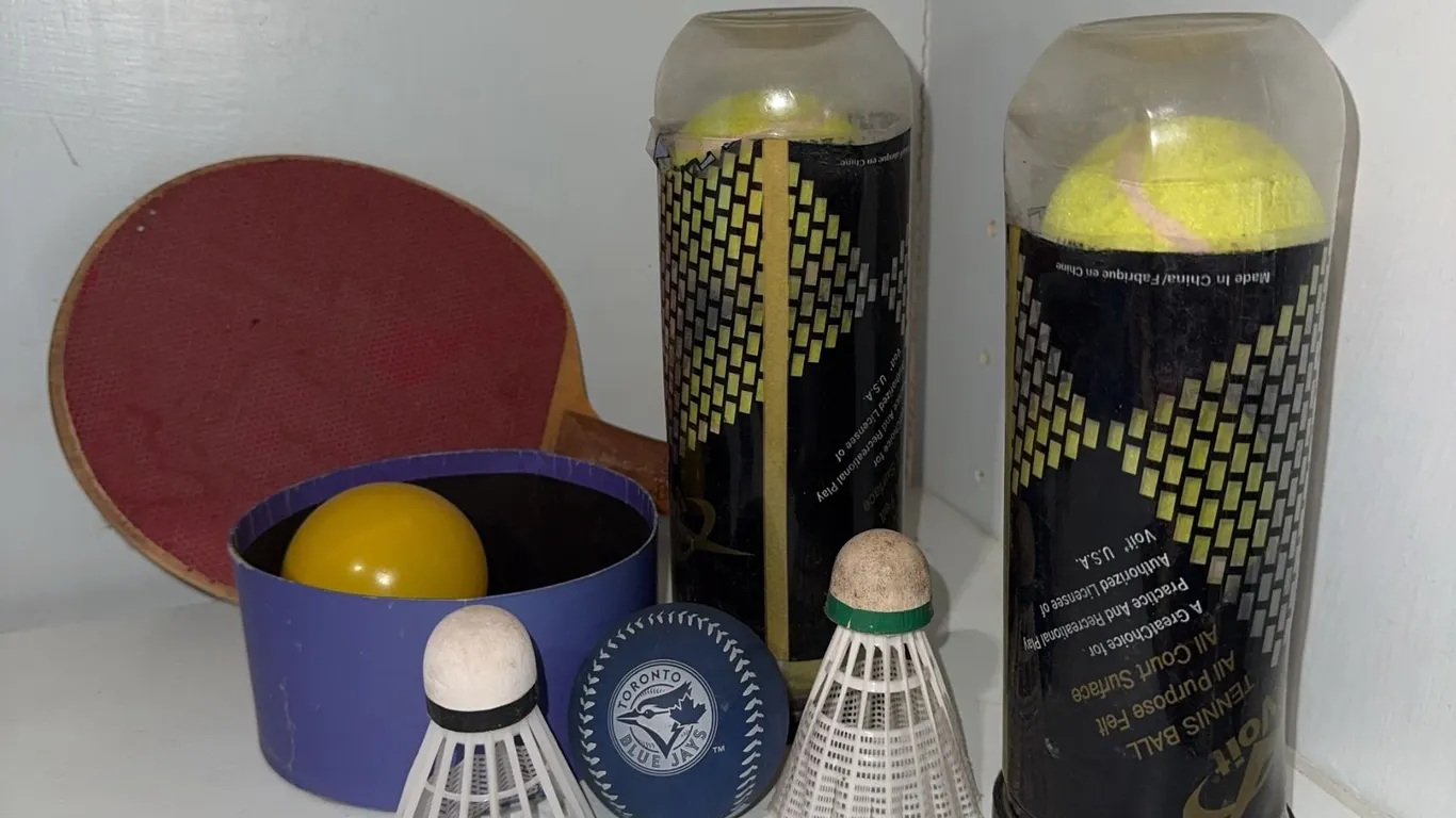 Sports Lot with Tennis Balls, Badminton Birdies, Ping Pong Paddle and Ball, Baseball