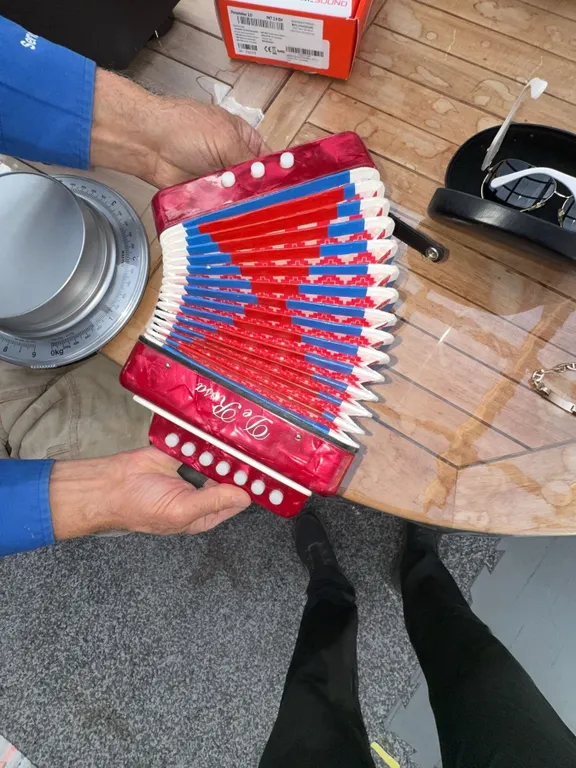 D'Luca Red Accordion with Blue and White Bellows, 7-Key, 2-Bass, Kid's Model