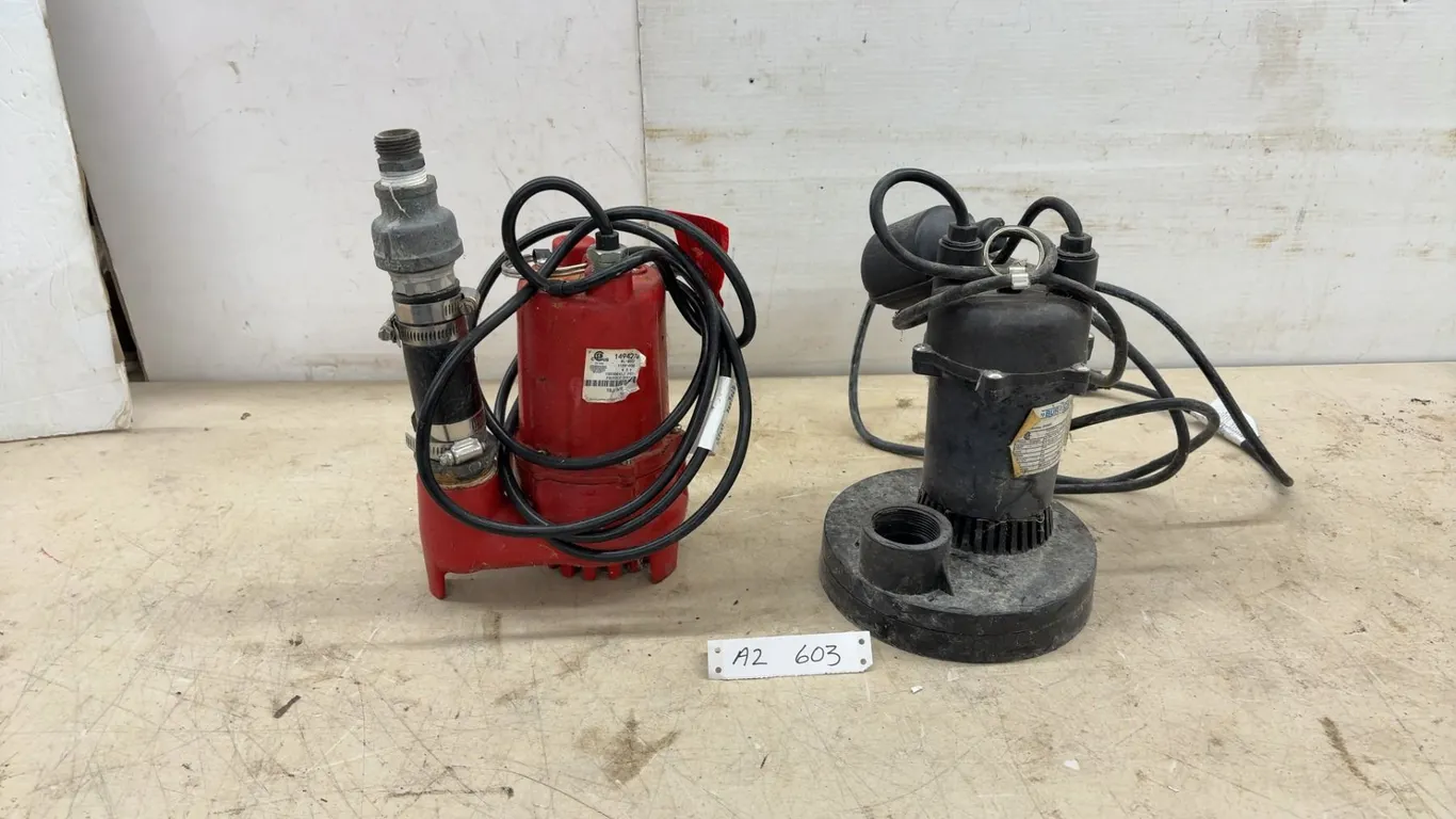 Two Sump Pumps, Bur-Cam 300500 1/3 HP Sump Pump, Red Pump, Unknown HP