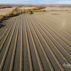 Peace River, AB NW 11-85-20-W5 154.54 +/- Acres on Title Farmland