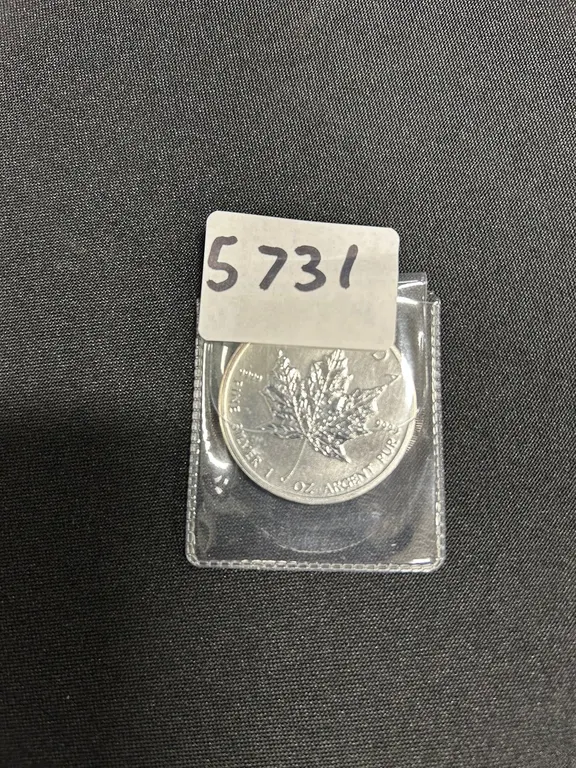 2011 Canadian Silver Maple Leaf Coin 1oz