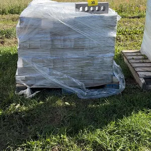 Pallet of bricks