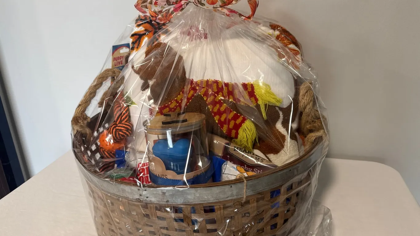 Furry Friends Pet Basket
