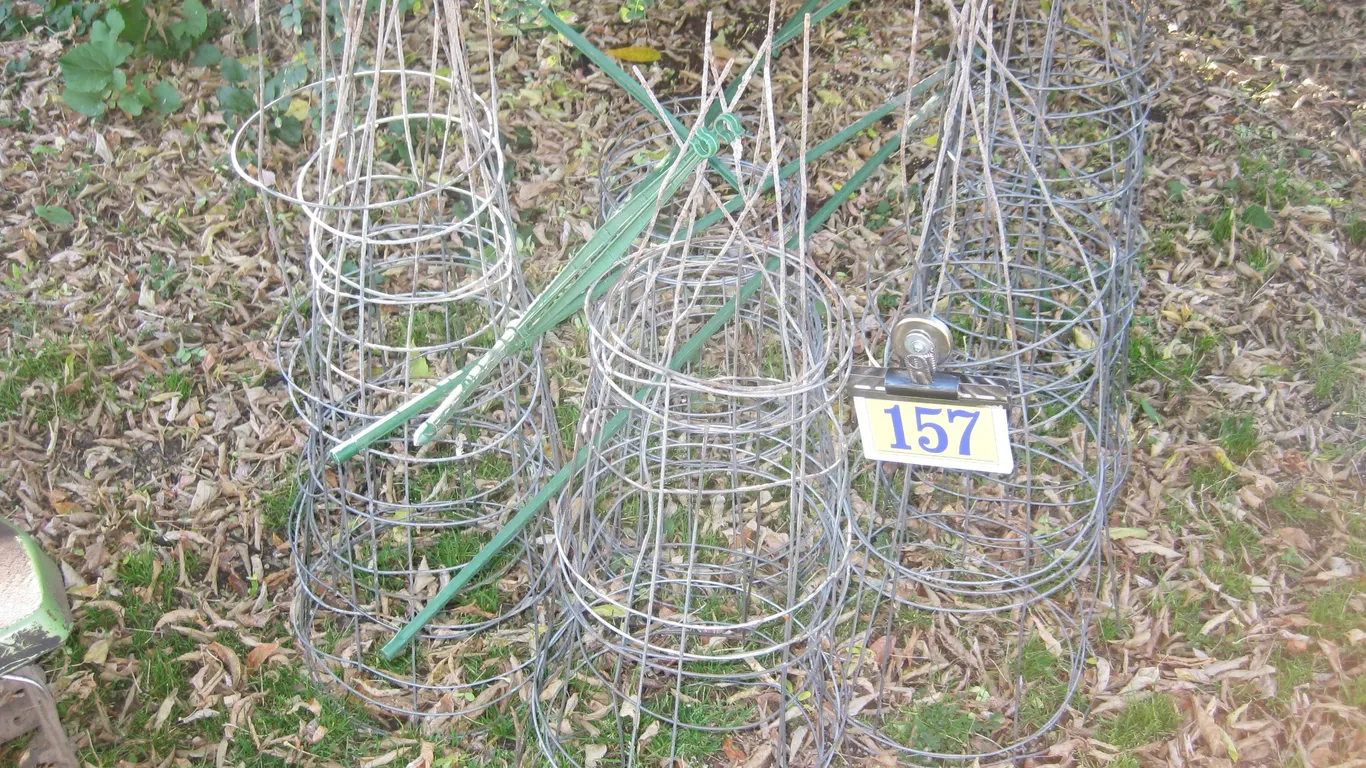 Tomato Cages