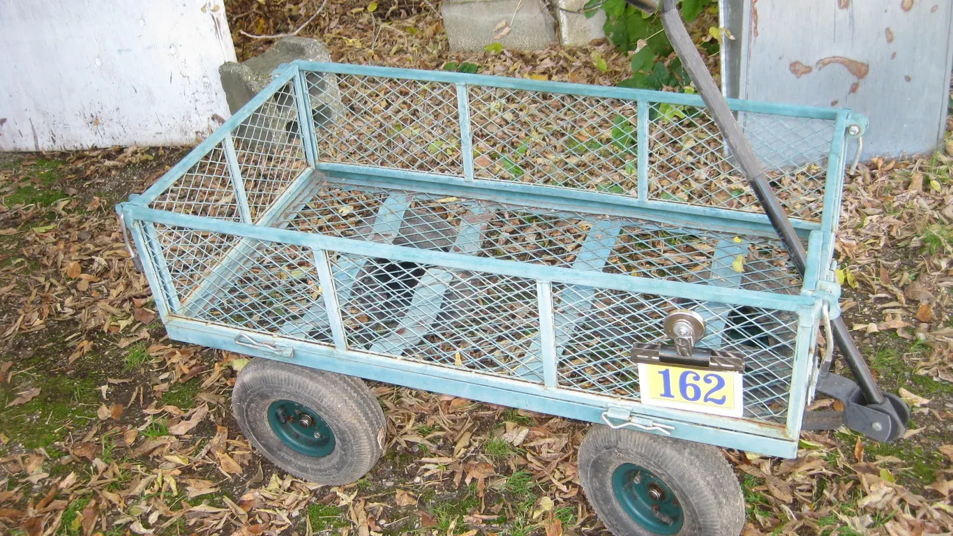 Wagon