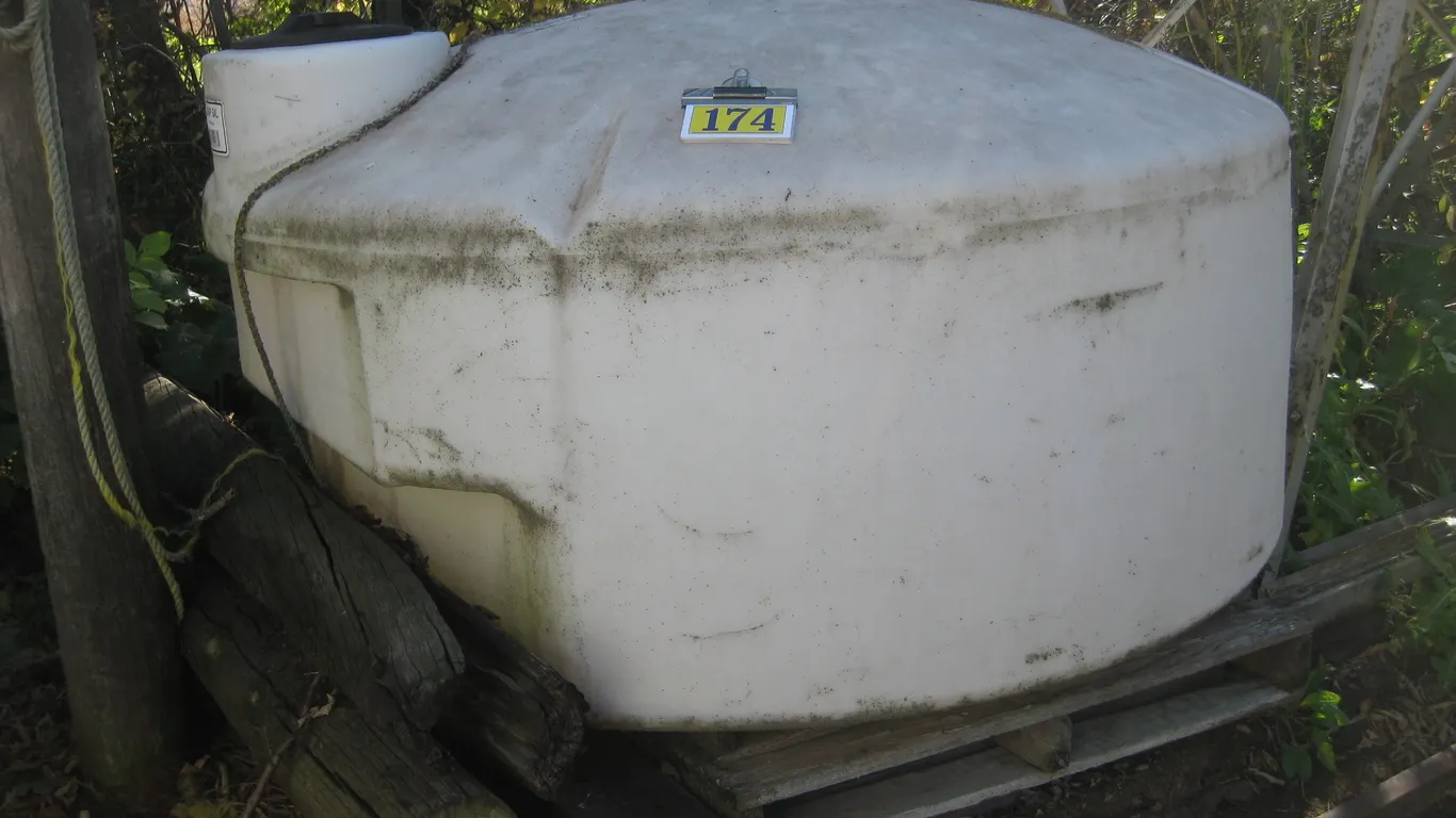 Turtle Tank