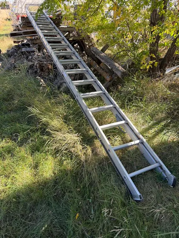 Aluminum 15' Extendable Ladder