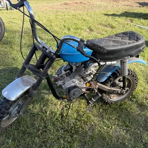 Vintage Minibike Modified 196cc Motor (Non-Runner)