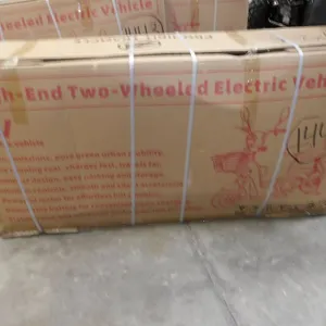 Two-Wheeled Electric Vehicle