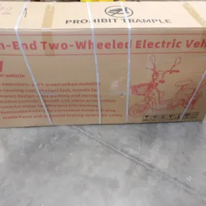 Two-Wheeled Electric Vehicle