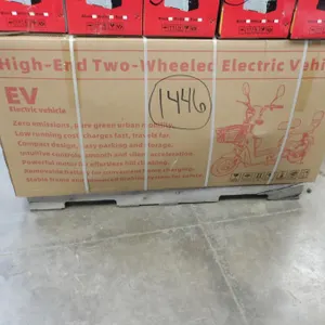 Two-Wheeled Electric Vehicle