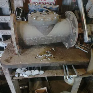 Neptune 8" Meter with 8" Screen
