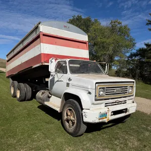 1973 Tag Tandem 366 5+2, motor has very low miles, good power, roll tarp, truck runs and operates good