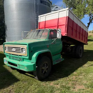1975 Single axle 366 4+2, box & hoist, starts, runs, operates as it should