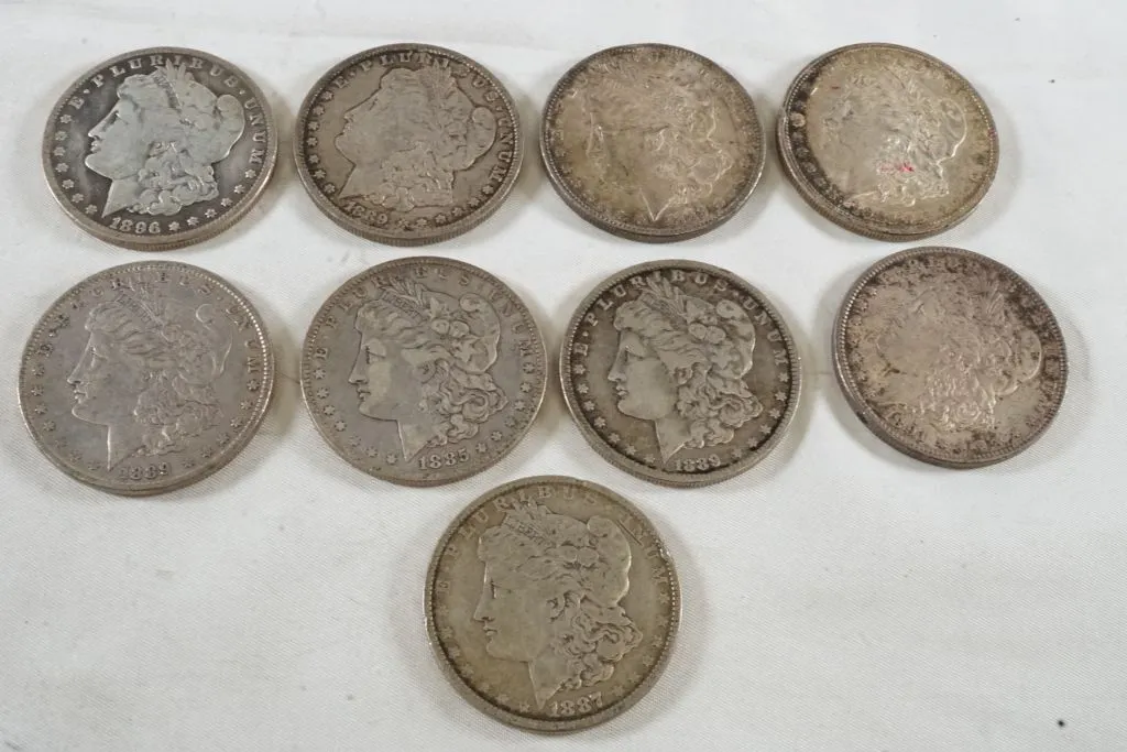 Lot of (9) Morgan Silver Dollars