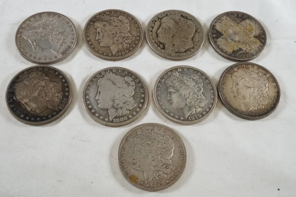 Lot of (9) Morgan Silver Dollars