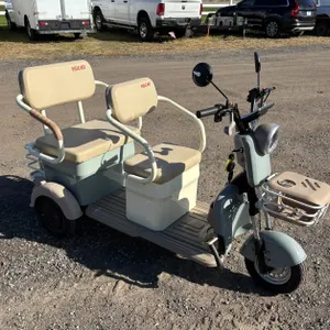 iBike MGC40 2-Seater Electric Bike