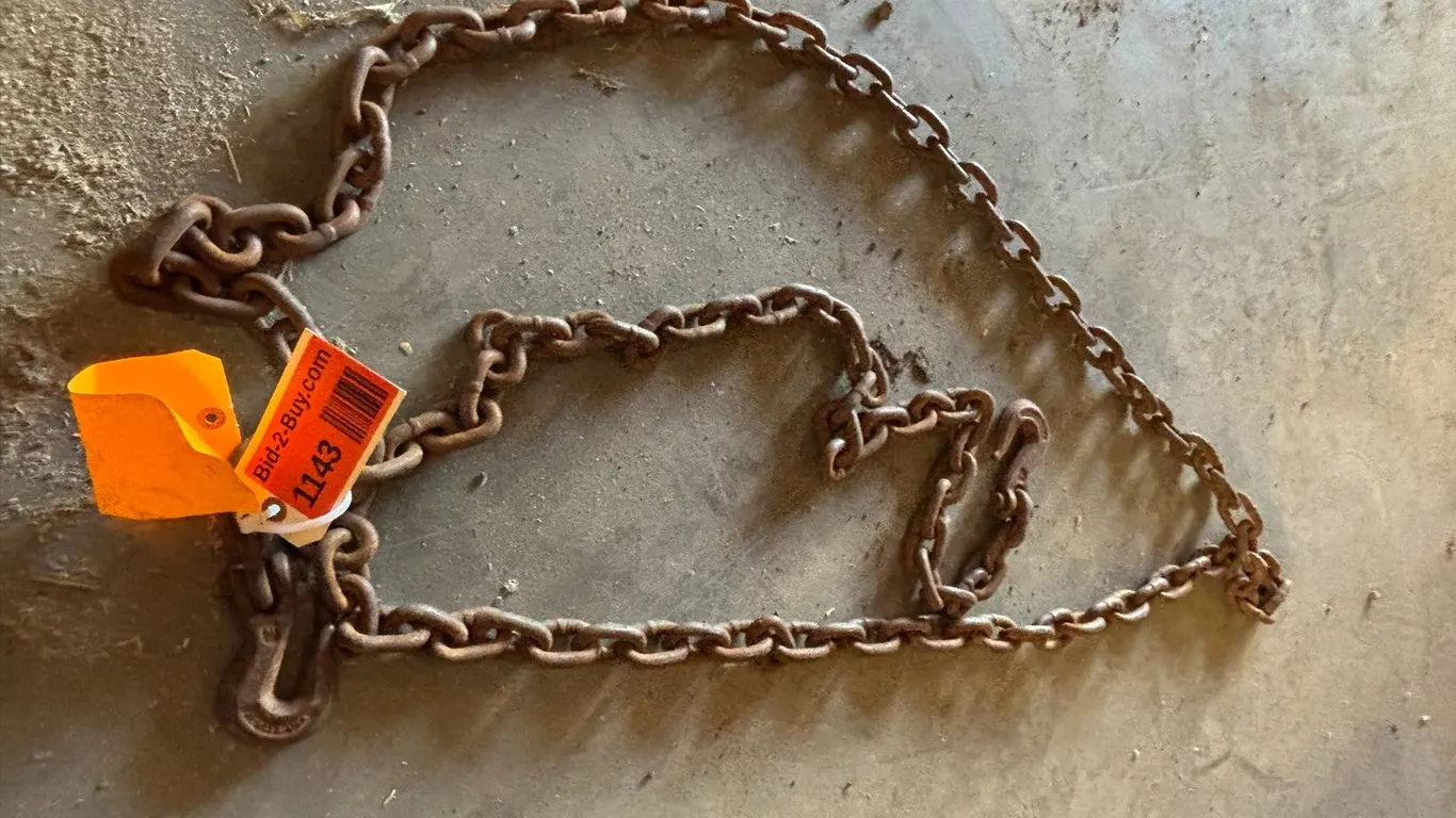 14' Logging Chain 3/8"