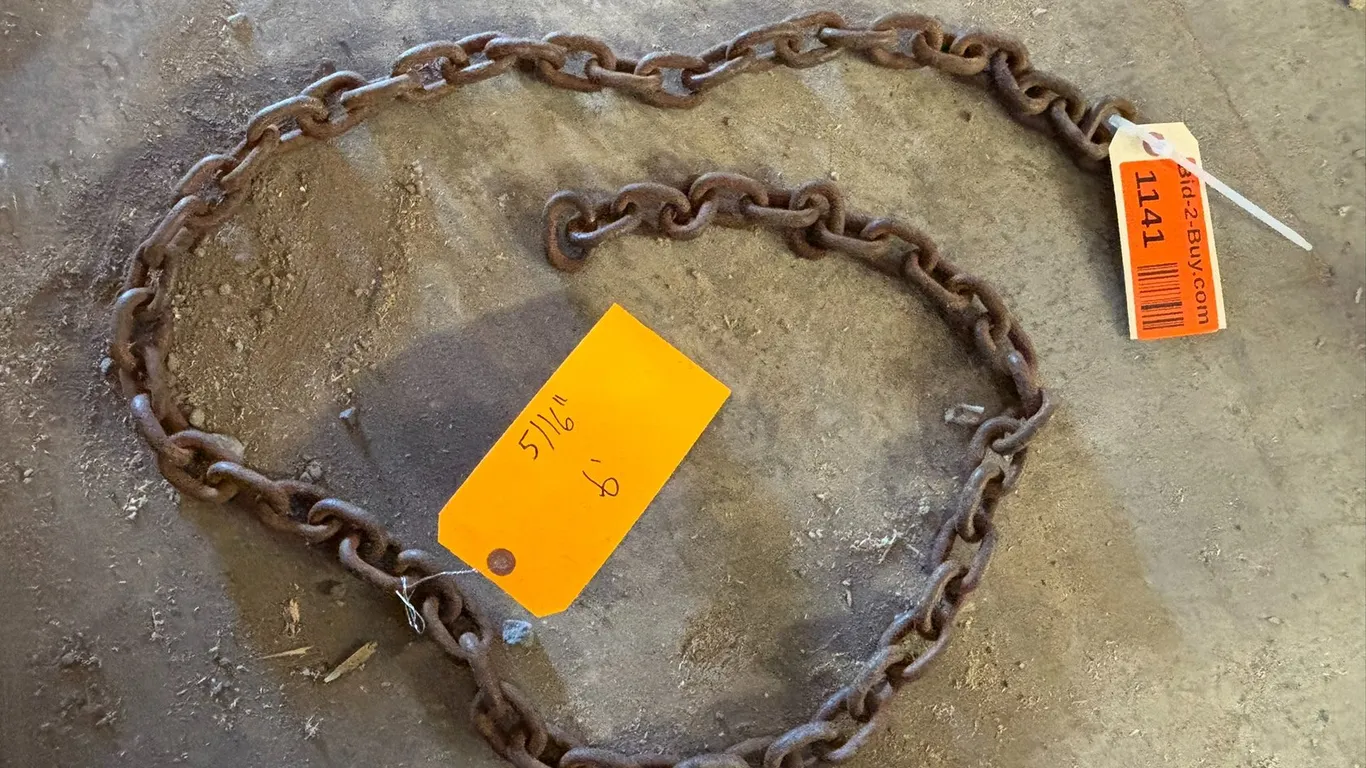 6' Logging Chain 5/16"