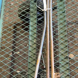 (3) Stakes