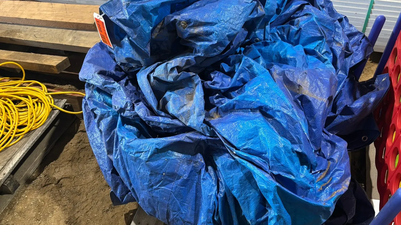 (2) Blue Tarps