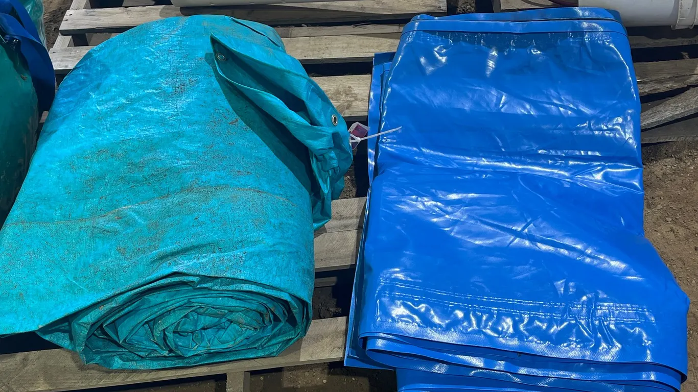(2) Light Blue Tarps